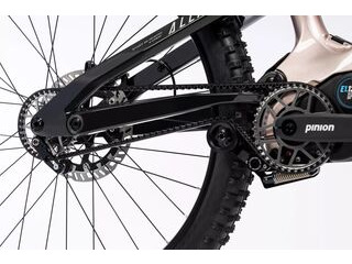 HAIBIKE ALLMTN CF 11 TRN/IQ click to zoom image