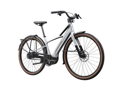 CANNONDALE FlyingV 1 Silver