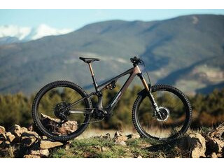 MEGAMO Reason CRB 03 AXS avinox m2s motor S 29" GARNET UD  click to zoom image